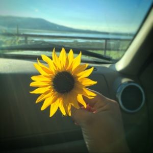 Meet your Posher, Jess